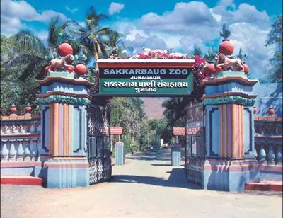 Junagadh near Gir